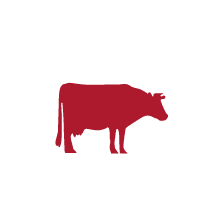 Red Cow